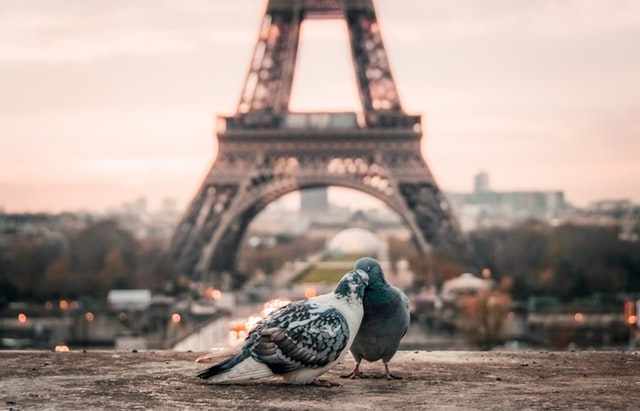 dos coloms davant la torre Eiffel